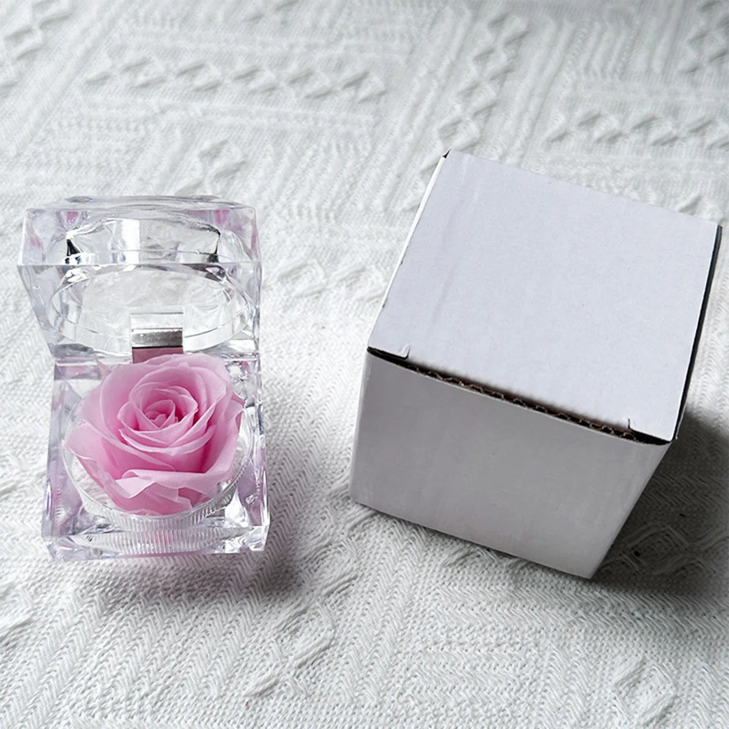 Preserved Rose in Glass Box