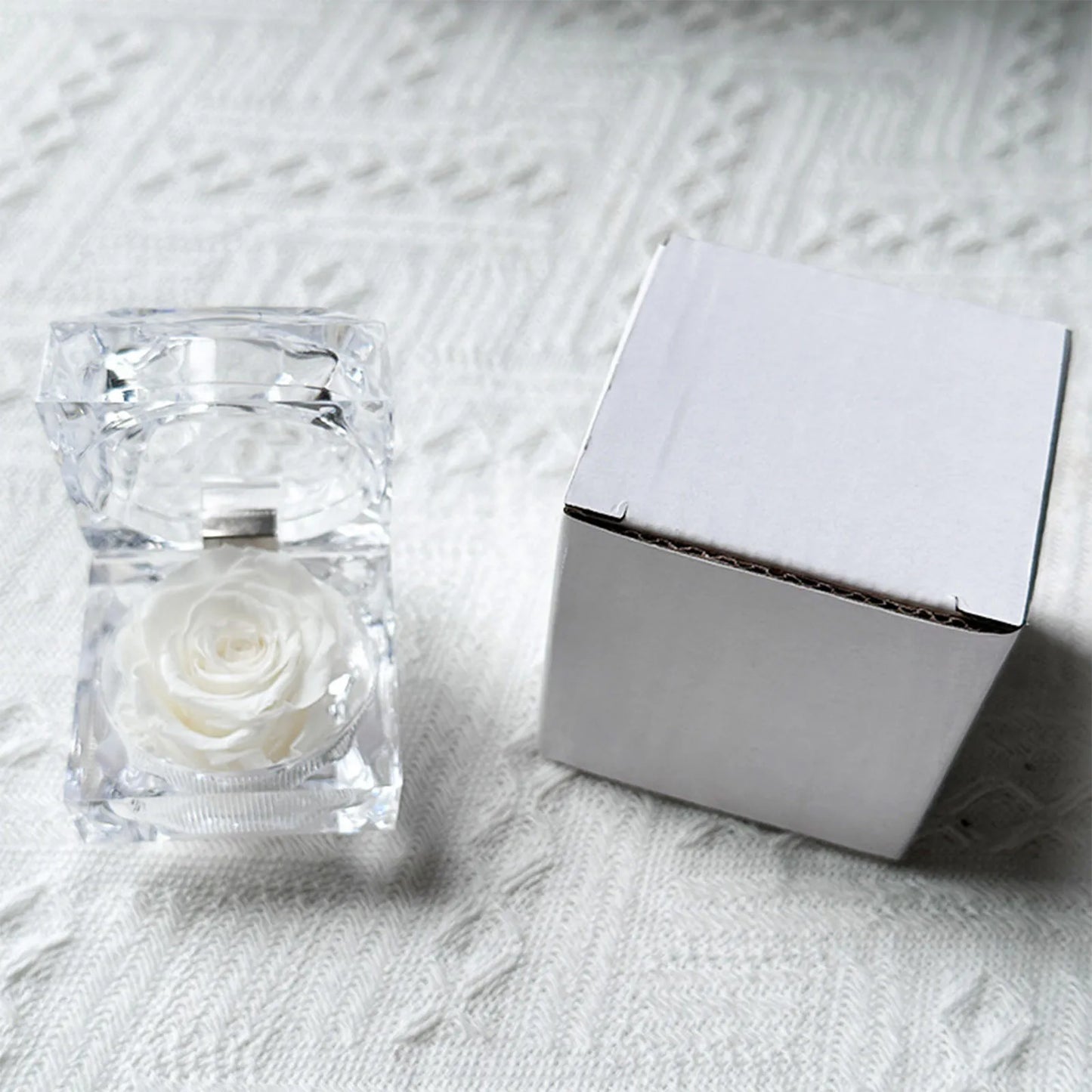 Preserved Rose in Glass Box