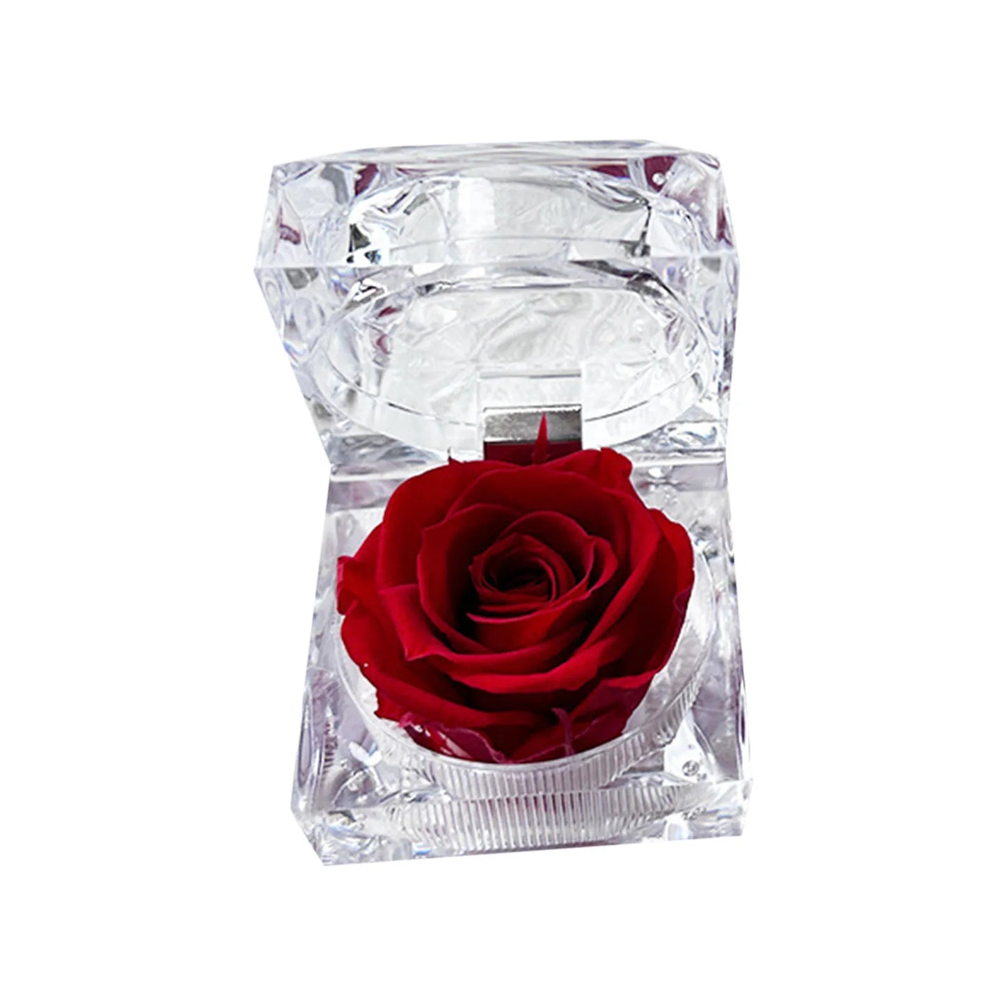 Preserved Rose in Glass Box