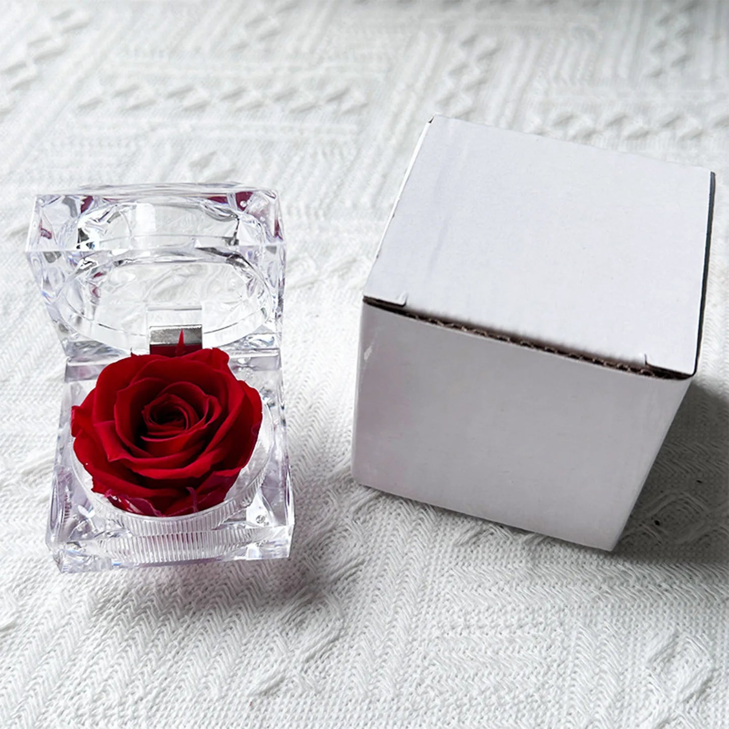 Preserved Rose in Glass Box