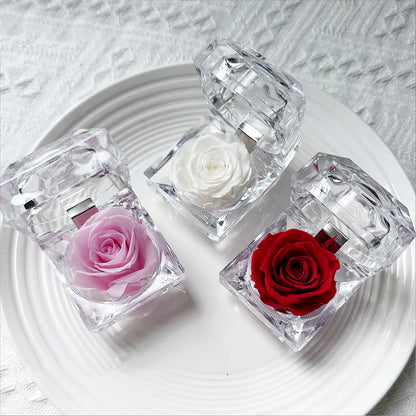 Preserved Rose in Glass Box