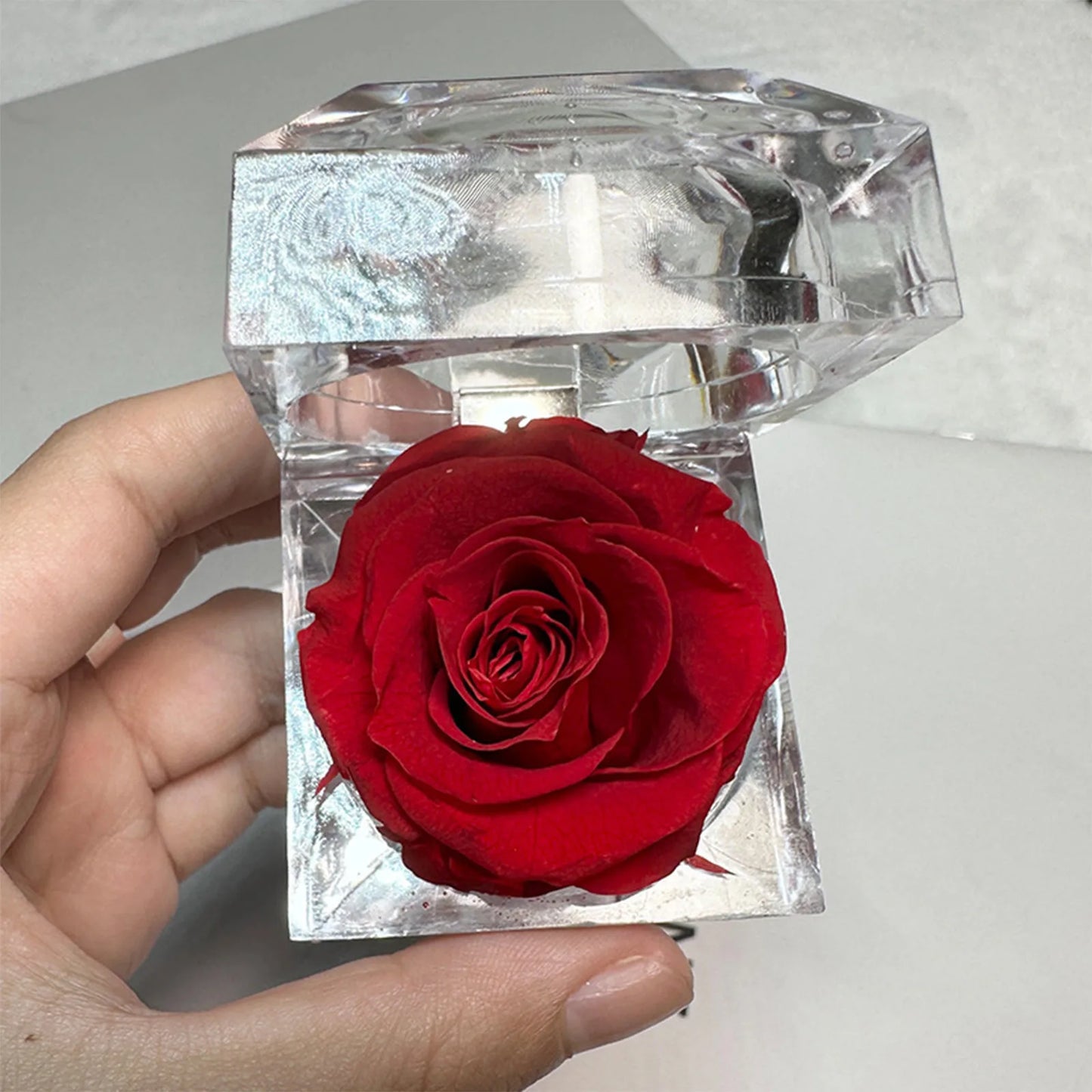 Preserved Rose in Glass Box