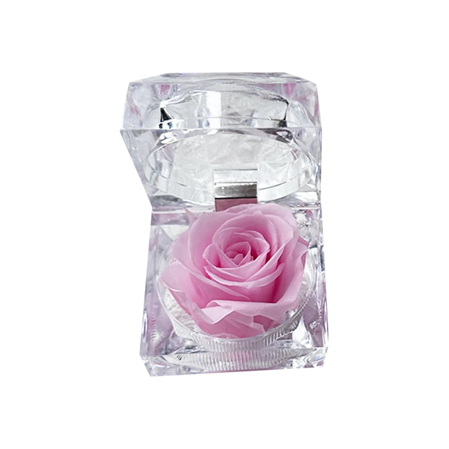 Preserved Rose in Glass Box